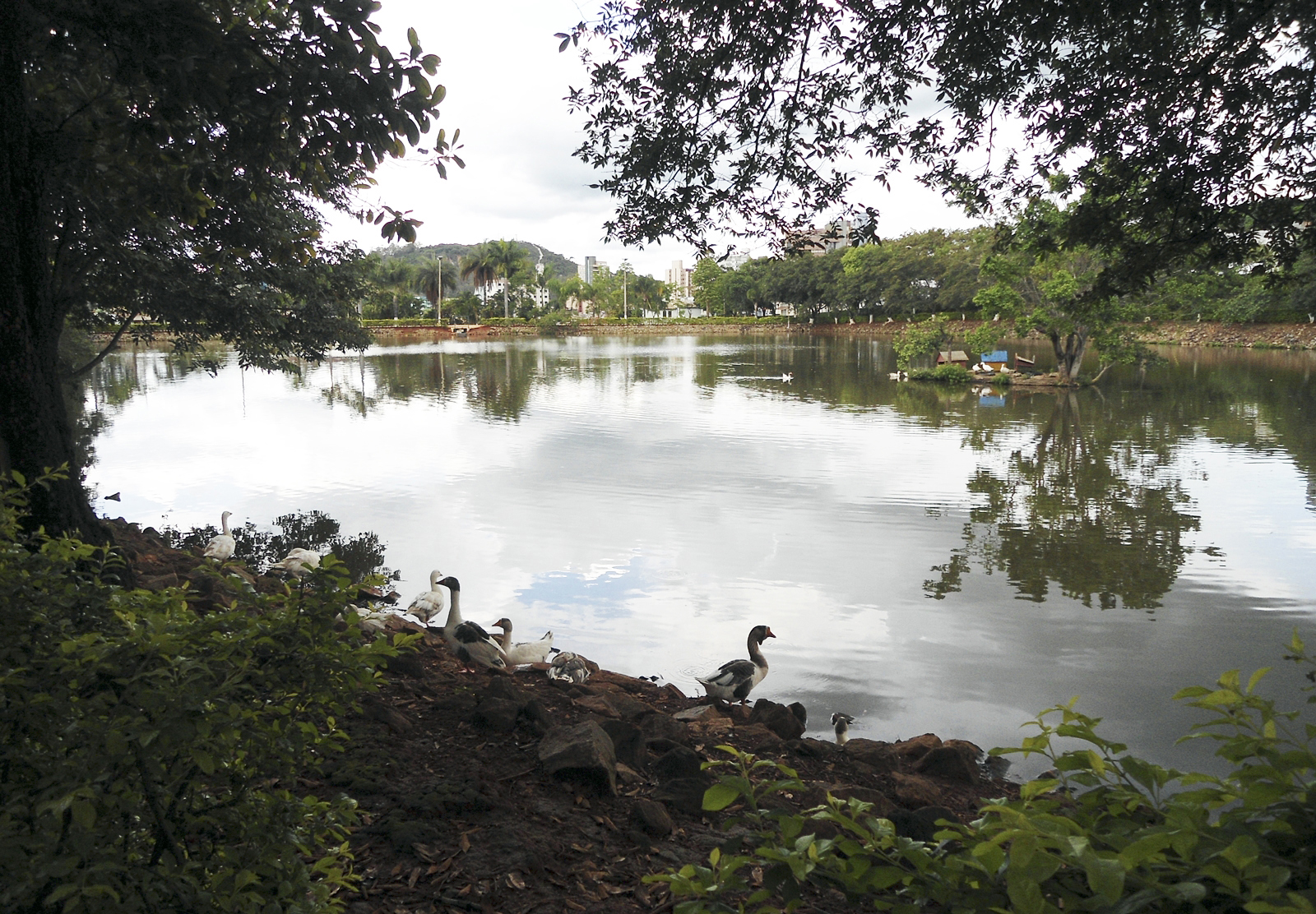 Parque Bariri, ponto turístico de Pará de Minas, MG